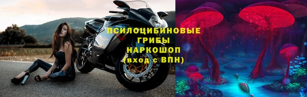 apvp Ельня