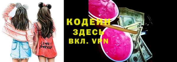 apvp Ельня