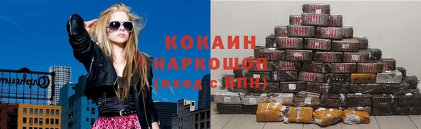 apvp Ельня