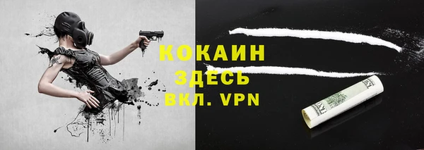apvp Ельня