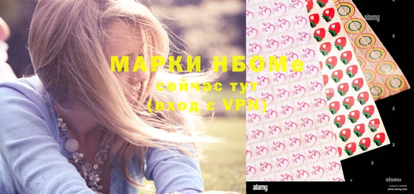 apvp Ельня
