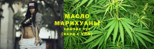 apvp Ельня