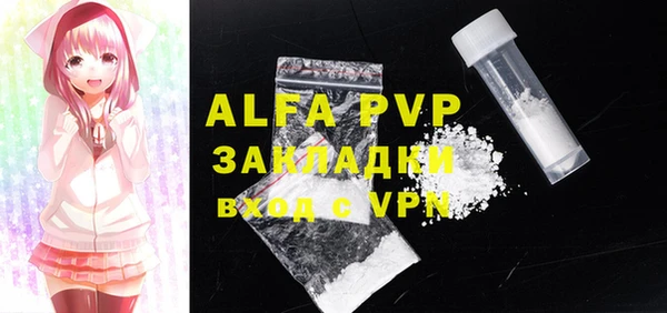 apvp Ельня