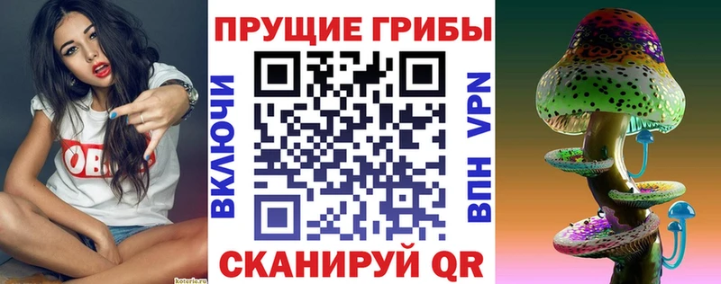 Купить закладки  Сорск  Псилоцибиновые грибы GOLDEN TEACHER 